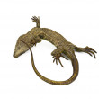 Franz Bergman – Viennese cold-painted bronze lizard with a mechanical mouth